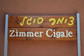 zimmer cigale